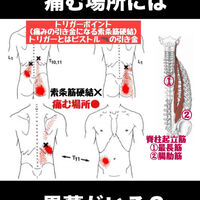 画像3141
