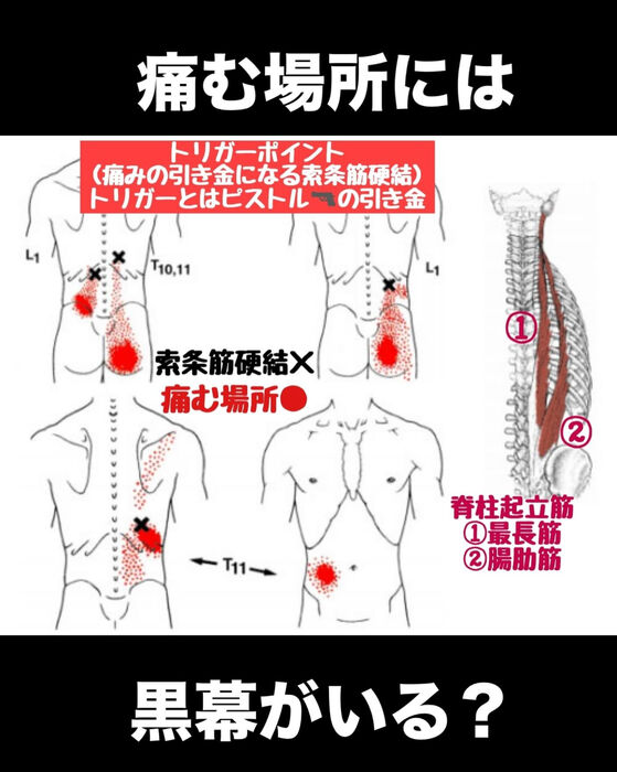 画像3141