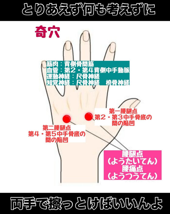 画像3203