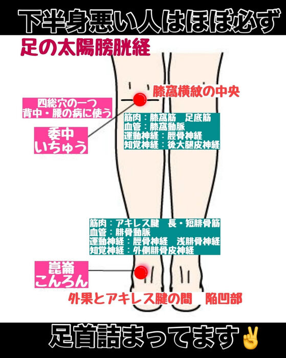 画像3205