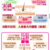 画像3219