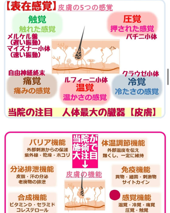 画像3219