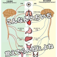 画像3221