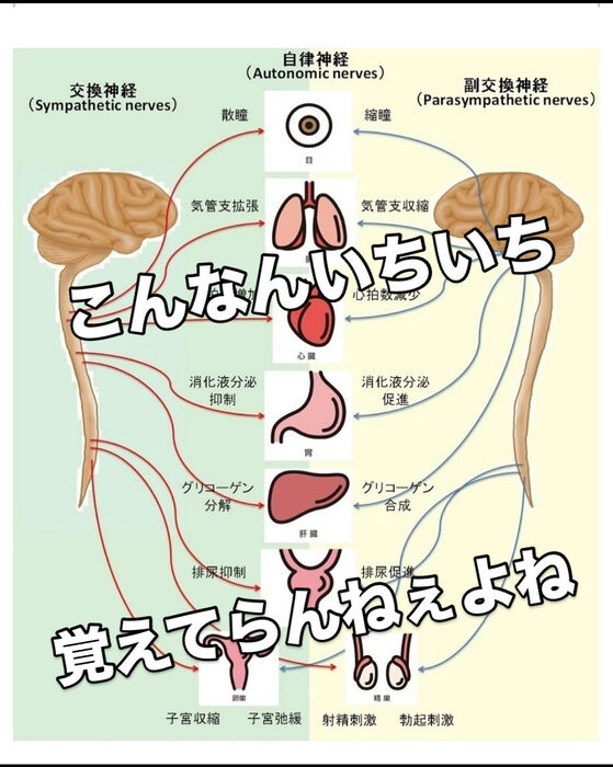 画像3221