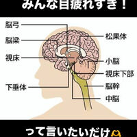 画像3225