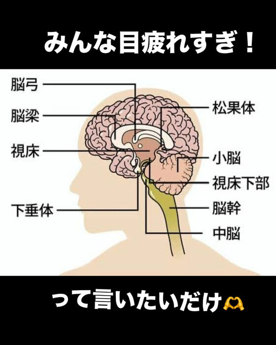 画像3225