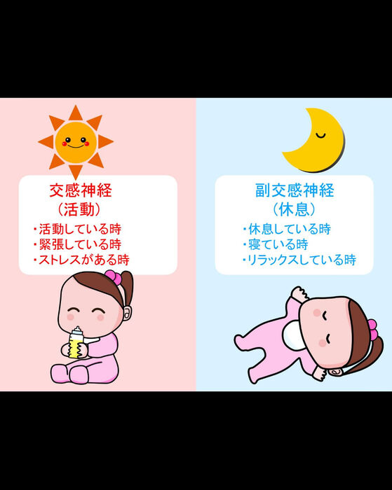 画像3240