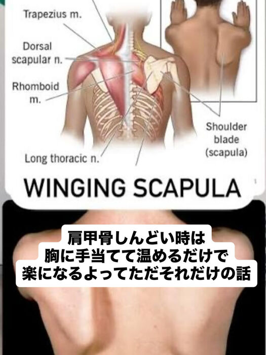 画像3298