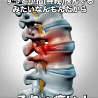 画像3302