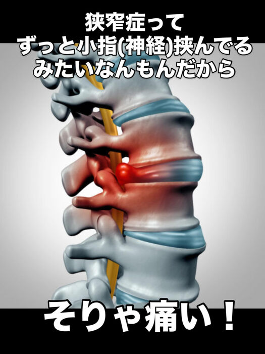 画像3302