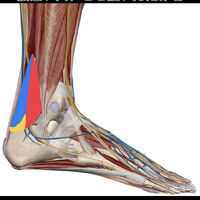 画像3306