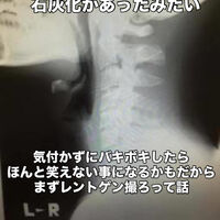 画像3316