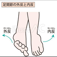 画像3318