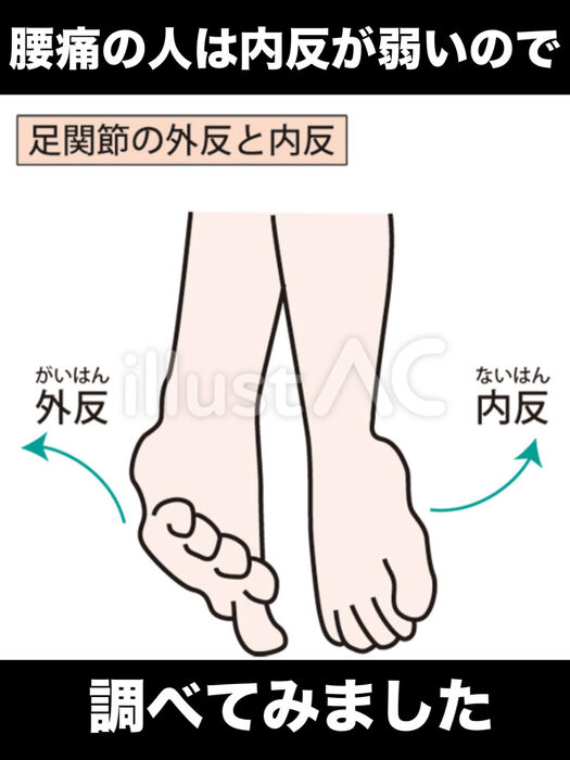 画像3318