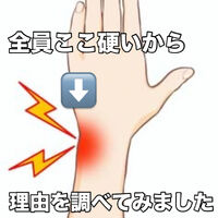 画像3340