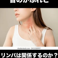 画像3342