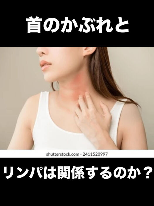 画像3342