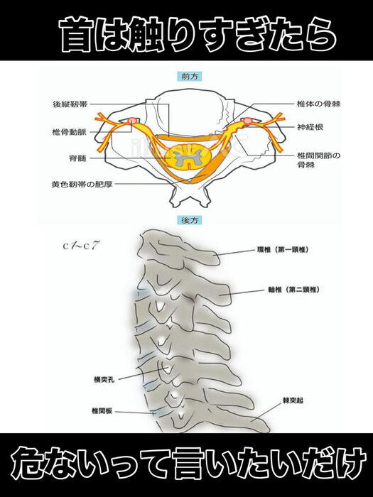 画像3346