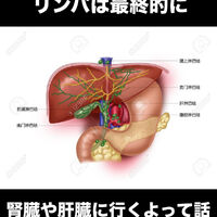 画像3348