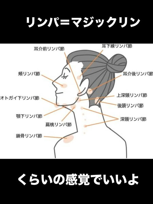 画像3362