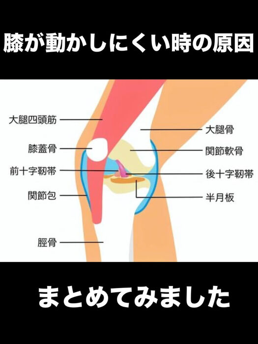 画像3364