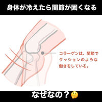 画像3366