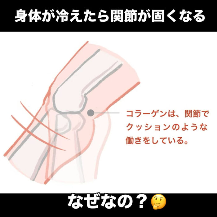 画像3366