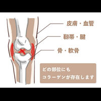 画像3367