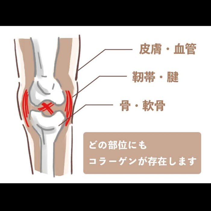 画像3367