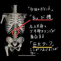 画像3370