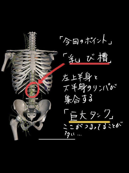 画像3370