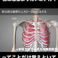 画像3376