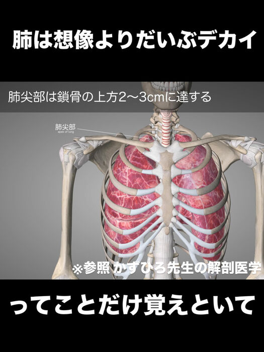 画像3376