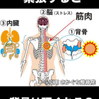 画像3380