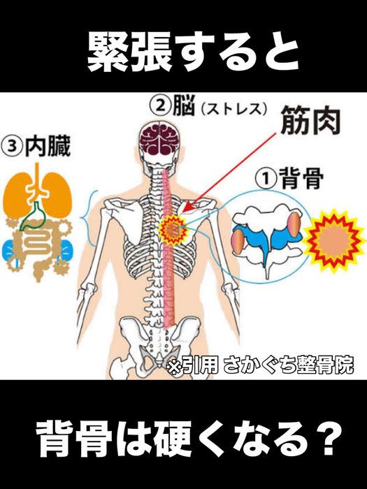 画像3380