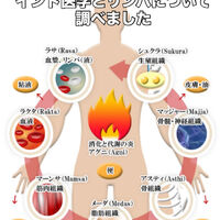 画像3384