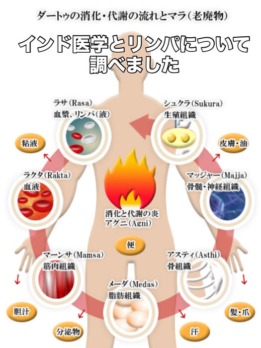 画像3384