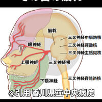 画像3386