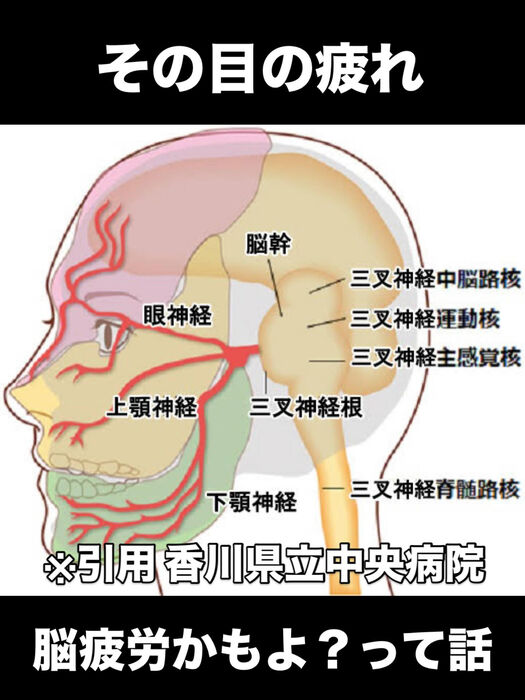 画像3386