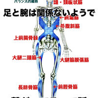 画像3388