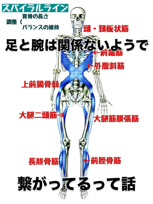 画像3388