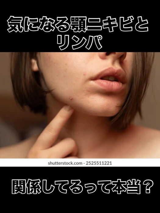 画像3390