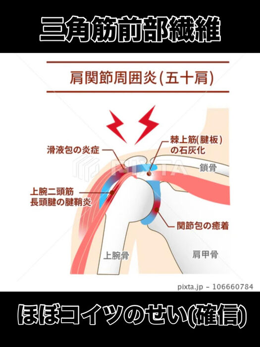 画像3394