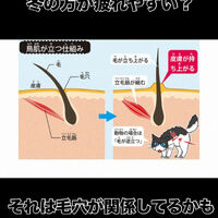 画像3400