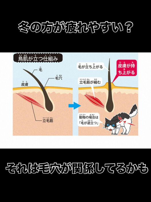 画像3400