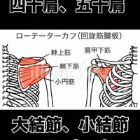 画像3404