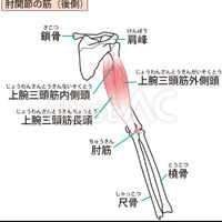 画像3406