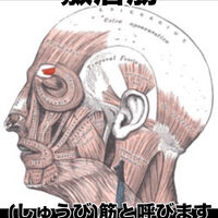 画像3420