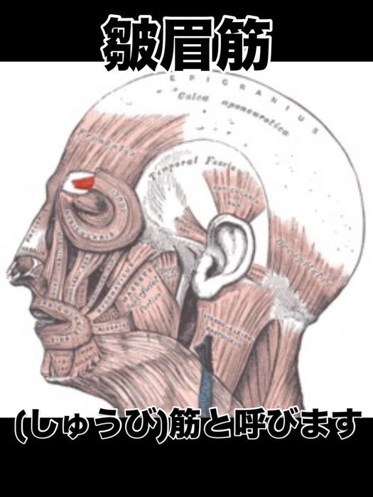 画像3420