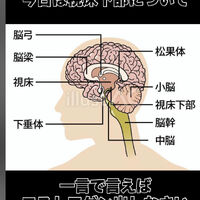 画像3424